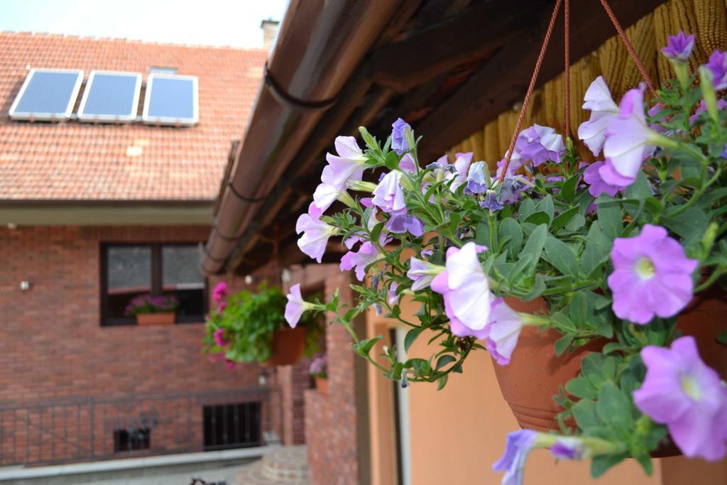 Penzion Vinarsky Dvorek Velke Nemcice Luaran gambar